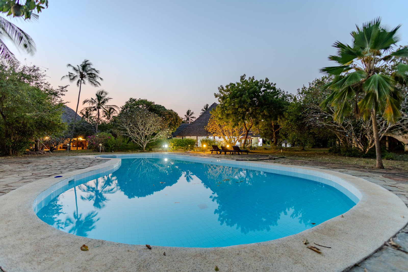 Swimming pool beside palms at Auregi Kivulini
