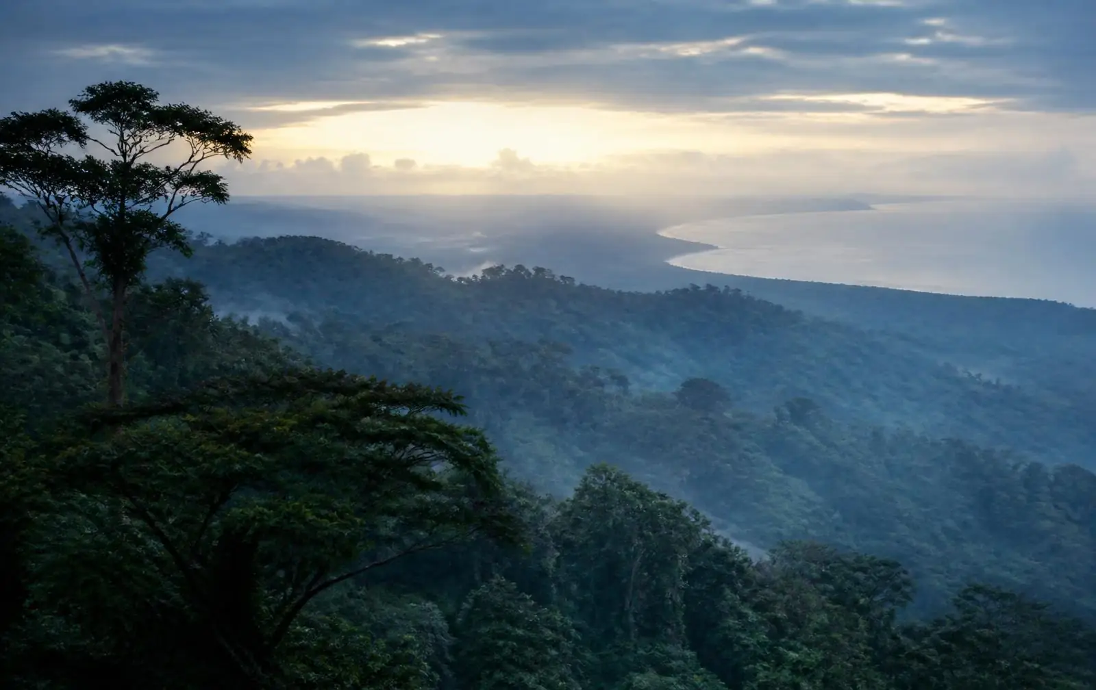 Misty green hills above the Kenyan coast at dawn