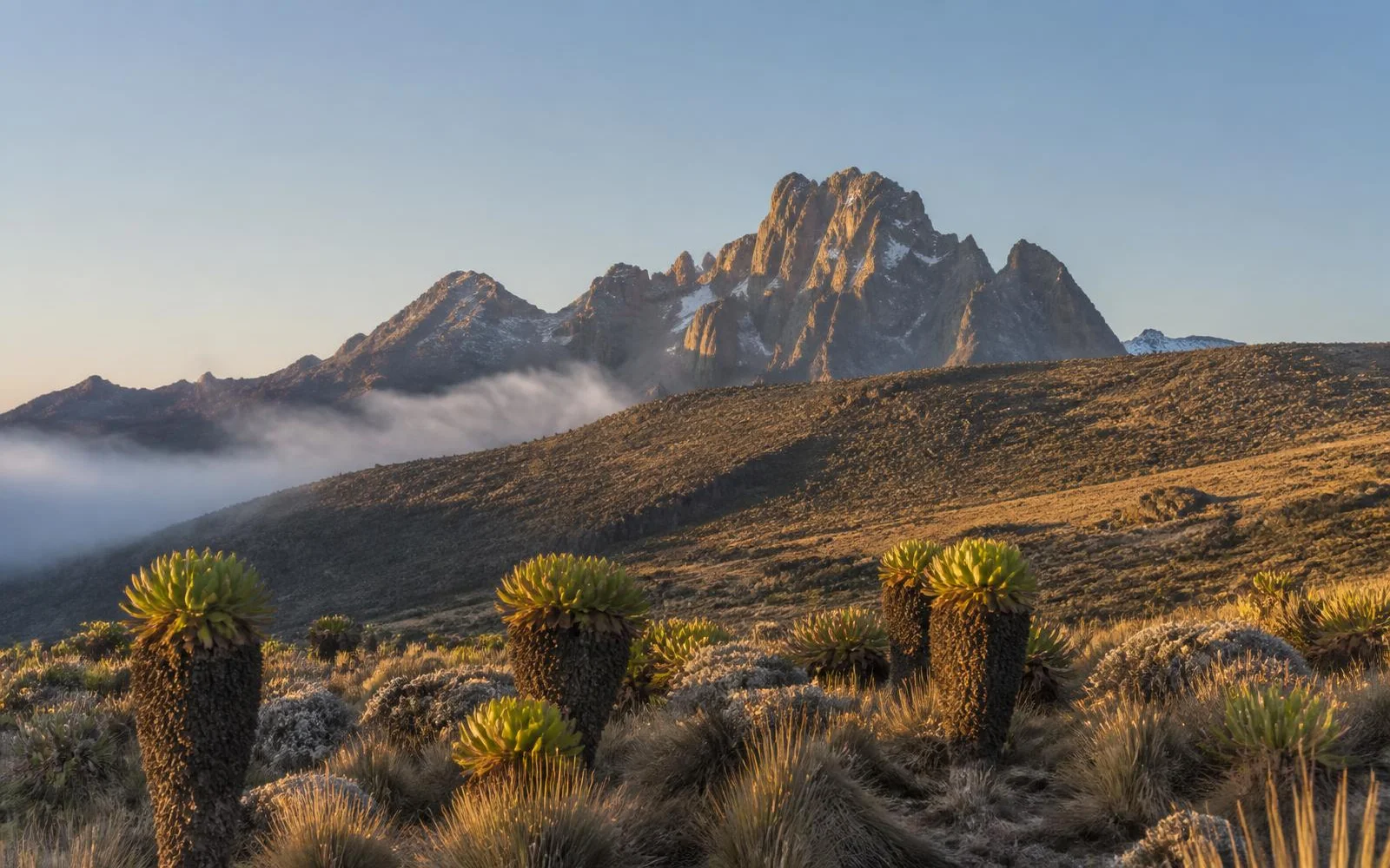 Mount Kenya peaks rising above afro-alpine moorland on the Sirimon route