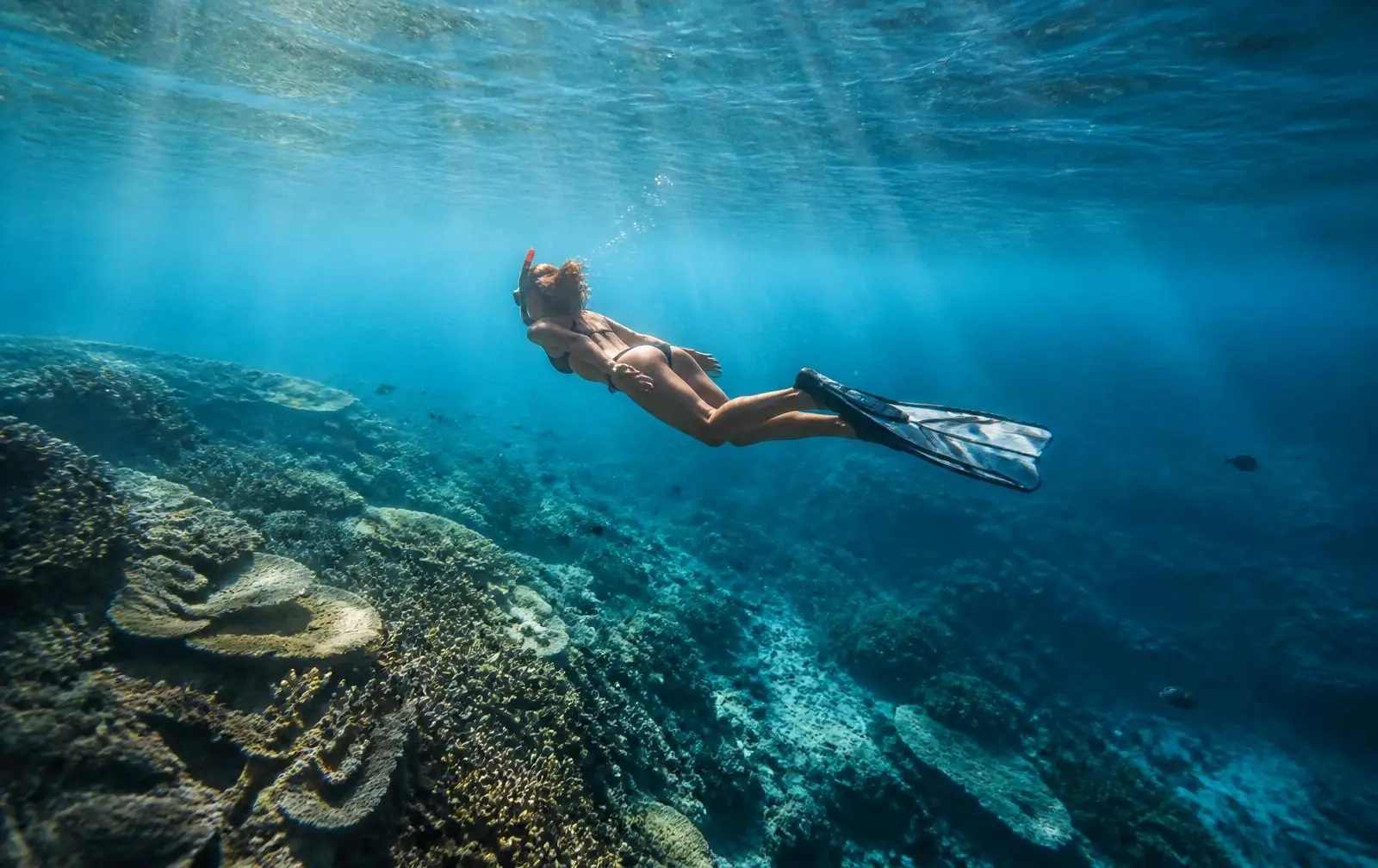 Snorkeller above a coral reef in clear Indian Ocean water